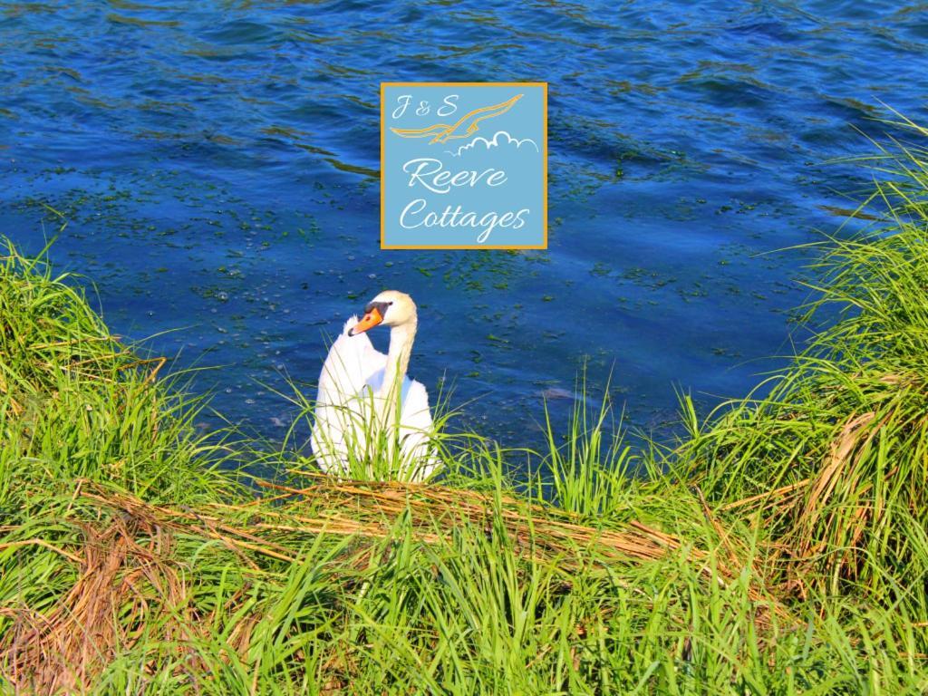 Premier Waterfront Cottage 2 Riverhead Ngoại thất bức ảnh
